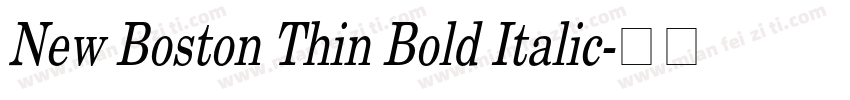 New Boston Thin Bold Italic字体转换